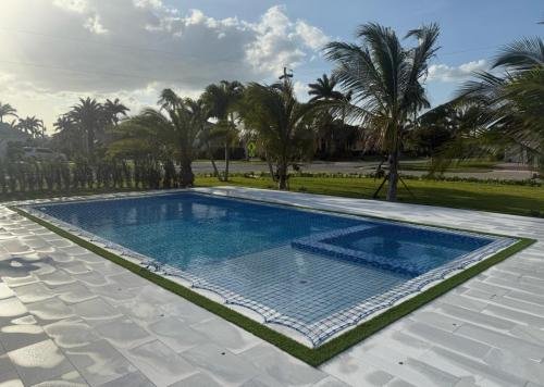 poolmesh_black_finished_palmtree_view_far